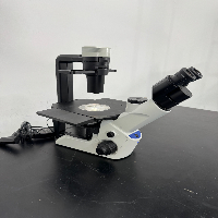 Olympus CKX53 Inverted Microscope image 0